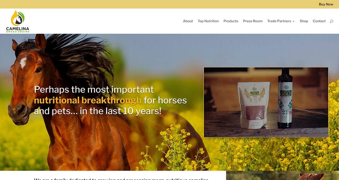 New e-commerce website: Camelina Omega Equine