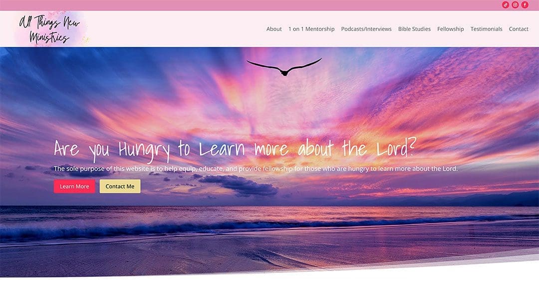 New website: All Things New Ministries