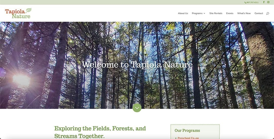 New website: Tapiola Nature